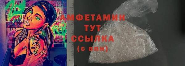 ECSTASY Алзамай