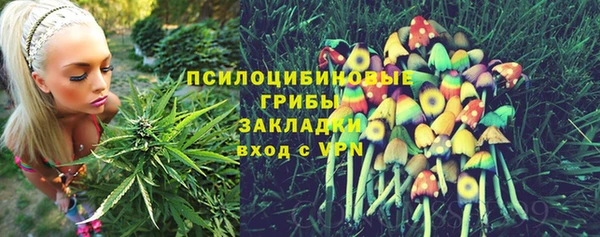 бутират Алексин