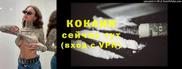 ECSTASY Алзамай