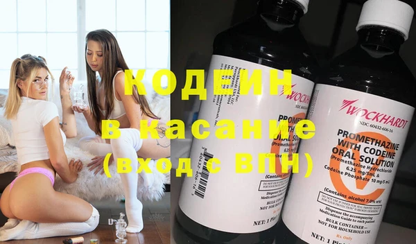 гашик Алексеевка